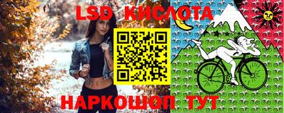 гидропоника Новозыбков