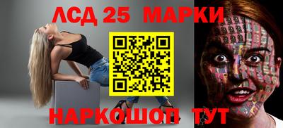 гидропоника Новозыбков