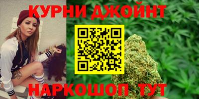 гидропоника Новозыбков